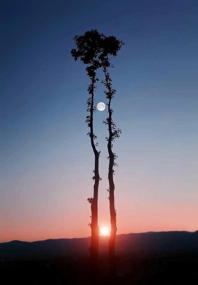Cuando el Sol sale al encuentro de la Luna seduciéndola...Con poesía todo es eterno…