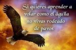 Aceptar, Avanzar y Seguir…