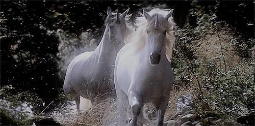 Lee más sobre el artículo Valiente y Aventurero…(Cuento con Moraleja)