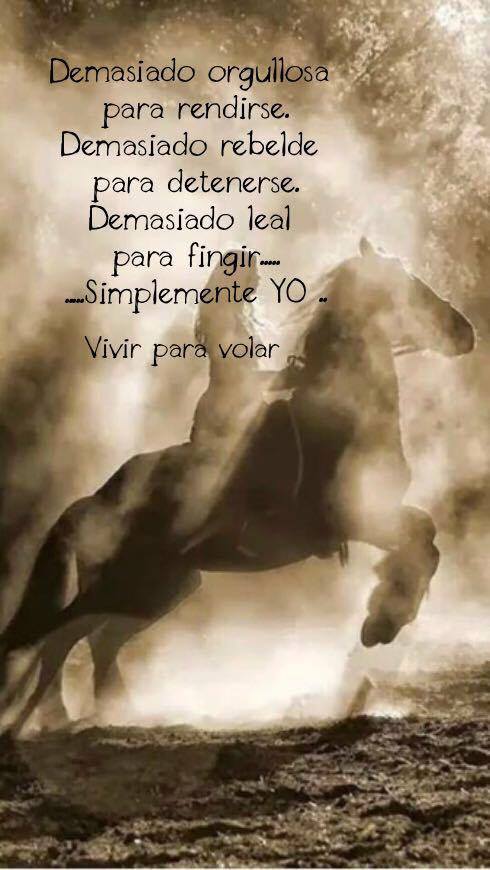 YO...95 n