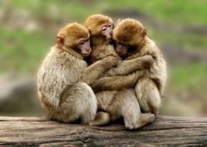 Lee más sobre el artículo Un abrazo…