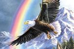 Volar Como El Águila…