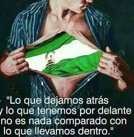 Lee más sobre el artículo No Ni Ná…