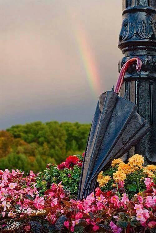 arco iris