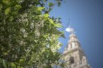 ¡Y Llegó La Primavera…!