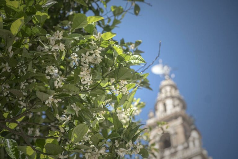 Lee más sobre el artículo ¡Y Llegó La Primavera…!