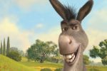 Un Burro…