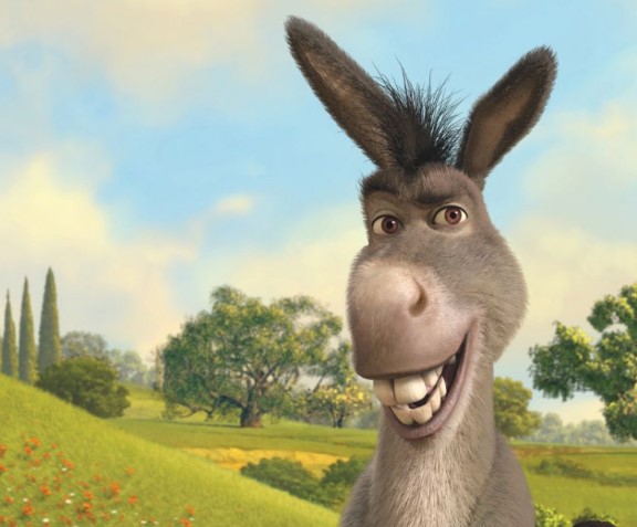 burro