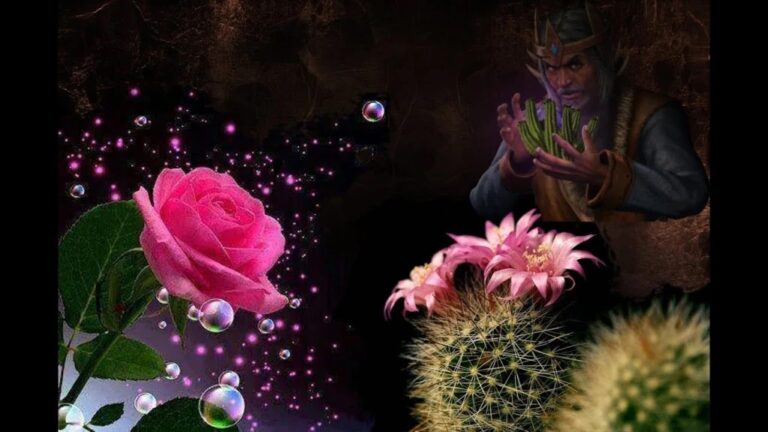 Lee más sobre el artículo ¿Diamante o Piedras…?(Cuento Con Moraleja)