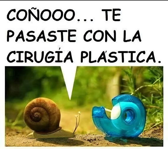 Lee más sobre el artículo El Reencuentro Con Sorpresa…(Cuento De Humor)