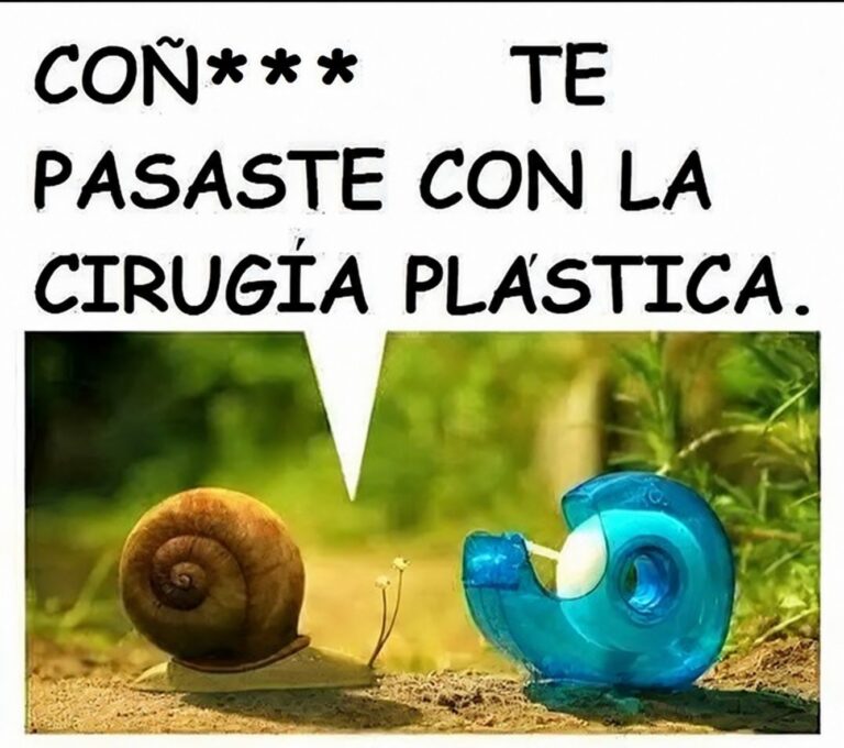 Lee más sobre el artículo Un Reencuentro Con Sorpresa…(Cuento De Humor)