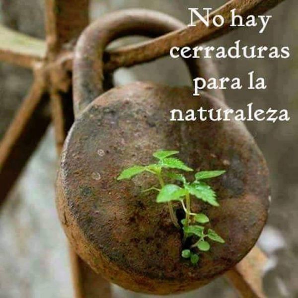 cerradura cerradura