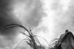 El Hombre Que Yo Amo – Ingrid Contreras –
