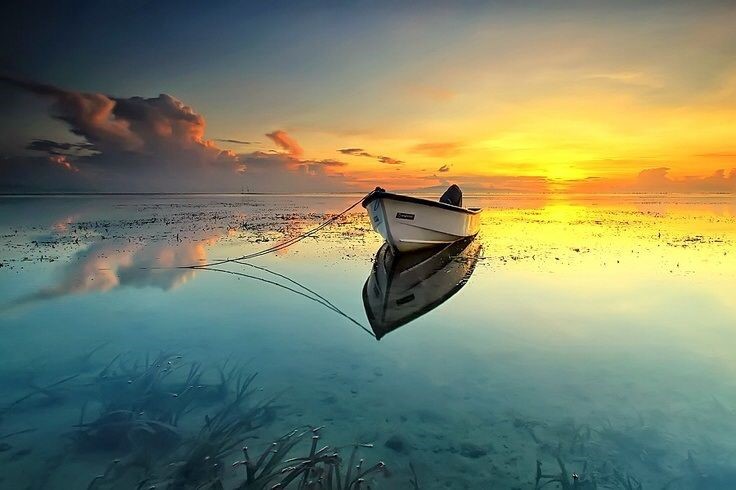 reflejado