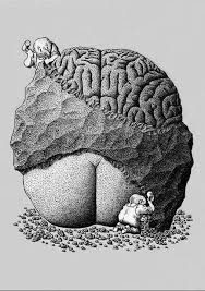 Lee más sobre el artículo El Cerebro Dijo…(Humor)