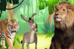 El Burro, El Tigre Y  El León…(Fábula)