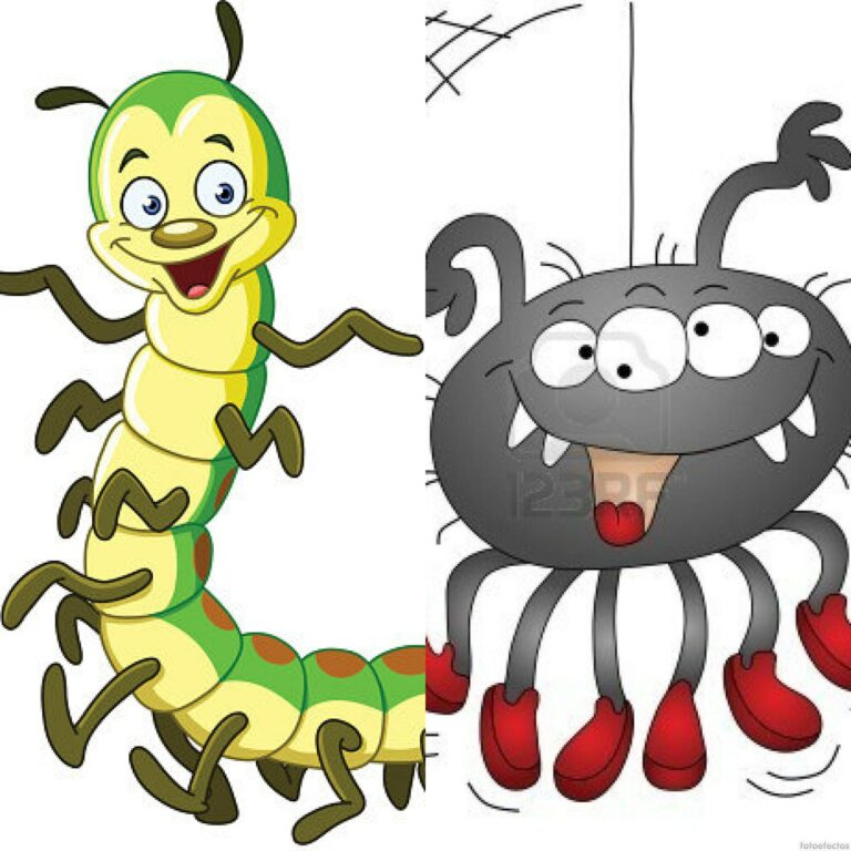 Lee más sobre el artículo El Ciempiés Y La Araña…(Cuento)