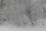 It’s snowing!… – music Sergey Chekalin