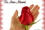 Mamá, Te quiero !