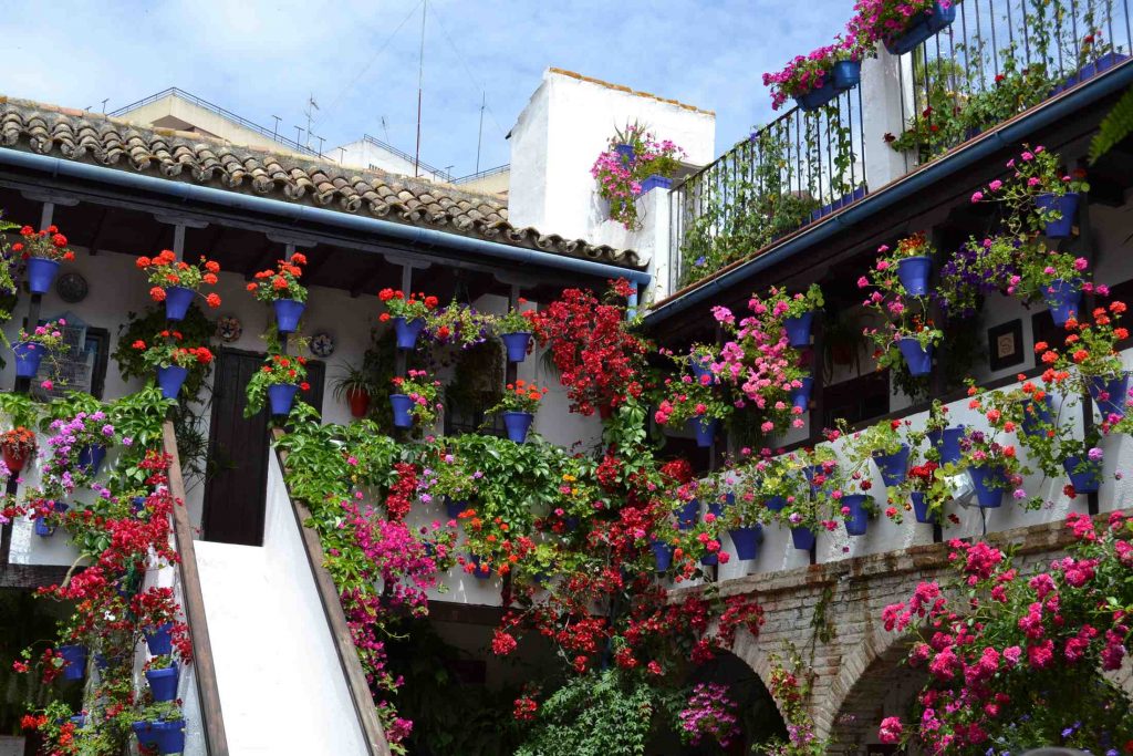 Patios De Córdoba Patrimonio De La Humanidad El Rincón de Rovica