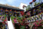 Patios De Córdoba – Patrimonio De La Humanidad