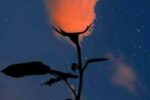 Fotos Al Cielo…