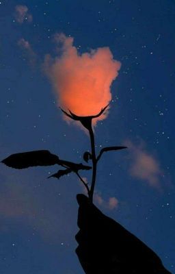 fotos al cielo