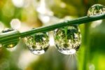 Una Gota de Agua…