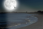 Luna – Zoé –