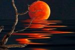 El Centro De Las Emociones…