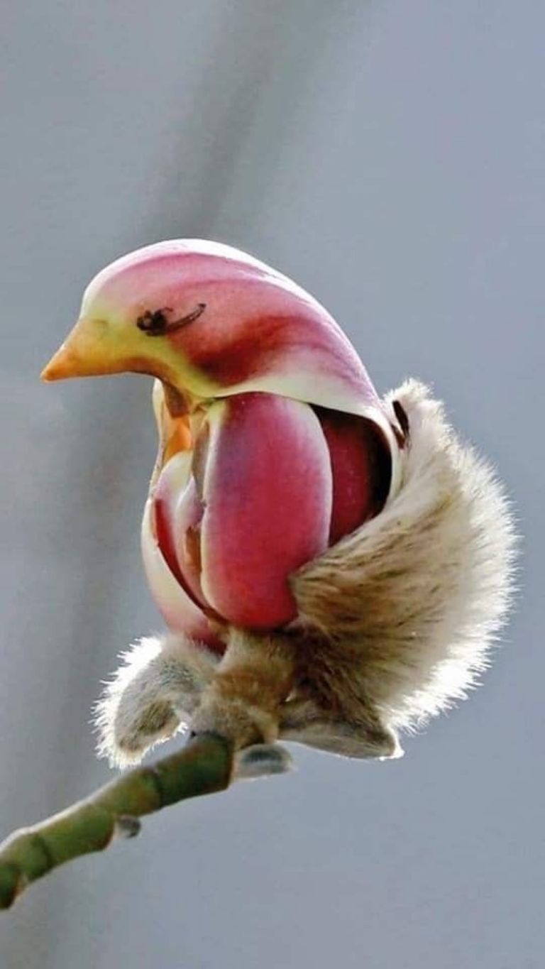 Lee más sobre el artículo No Es Lo Que Parece…