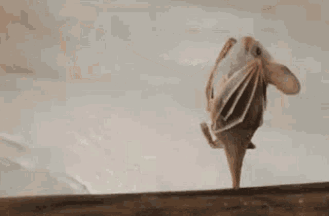 Lee más sobre el artículo El Murciélago…(Cuento)