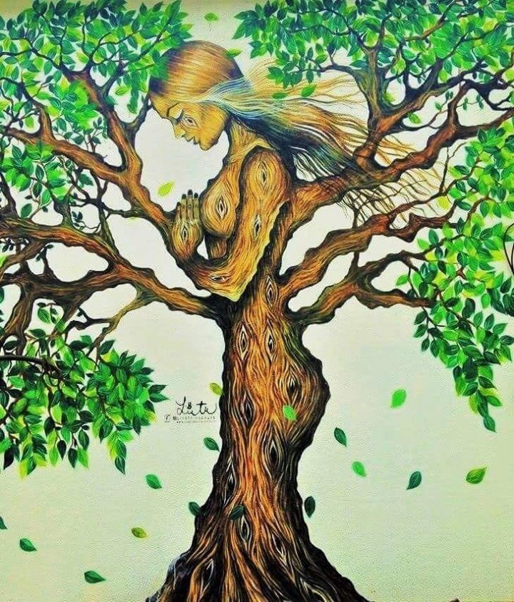 Lee más sobre el artículo La Naturaleza Te Habla, Te Enseña… 