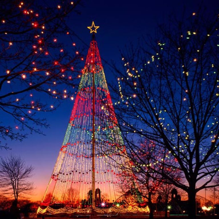 Lee más sobre el artículo El Mundo Celebra La Navidad…