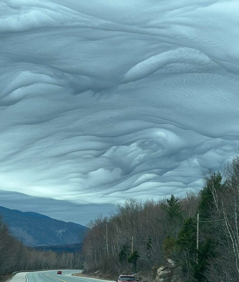 Lee más sobre el artículo ¿Es Una Pintura…?