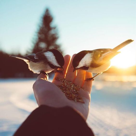 Lee más sobre el artículo La Percepción De La Belleza…
