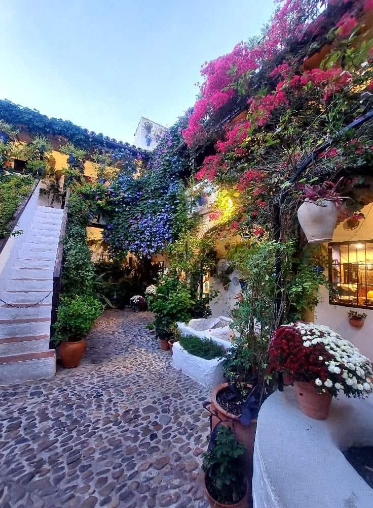 Lee más sobre el artículo Una Región, Mil Primaveras…