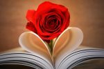 Momentos De Poesía…