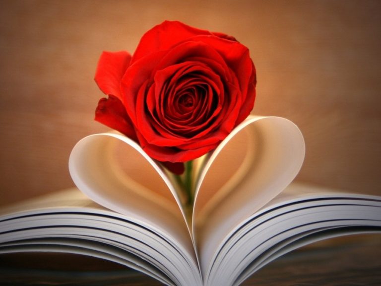 Lee más sobre el artículo Momentos De Poesía…