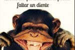 Chistes/ Chascarrillos/ Cuentos…