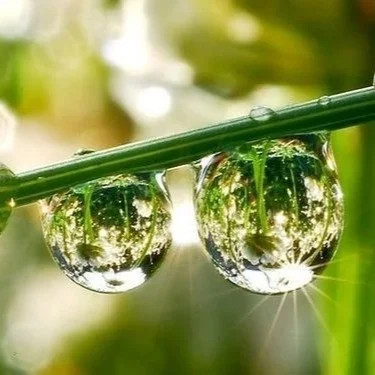 En Una Gota de Agua...
Hay más luz en una gota de agua que en un diamante caro, por supuesto solo para quién pueda verlo. El límite está en nuestros ojos…Sigue leyendo en mi Blog.