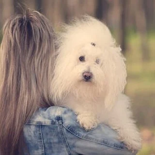 Cuando Más Necesitaba Una Mano...

Cuando más necesitaba una mano, encontré tus patitas y el amor más incondicional...Sigue leyendo en mi Blog.

Rovica.