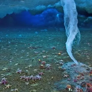Brinicle o El Dedo Helado De La Muerte...(Naturaleza)
Se trata de uno de los fenómenos naturales menos conocidos, pero también uno de los más curiosos y espectaculares. Si no has oído hablar de él o nunca has tenido la oportunidad de contemplar uno (en vídeo, obviamente, ya que en persona resulta casi imposible), no te pierdas la magia del «brinicle» o el dedo helado de la muerte.
Descubrimiento
La existencia del “brinicle”, comúnmente llamado “el dedo helado de la muerte” o “el brazo de la muerte”. El fenómeno fue capturado en time-lapse por Hugh Miller y Doug Anderson cuando grababan un episodio del programa “Planeta Helado” en 2011. La serie Frozen Planet de la cadena inglesa supuso un despliegue de medios muy grande.
¿Qué es el «brinicle» y cómo se forma?
El “brinicle” es una estalactita de hielo que se forma en las aguas de la Antártida. La causa de su composición se encuentra en la diferencia de temperatura tanto de la superficie (la cual oscila en los -20ºC) como la que hay en las profundidades (de alrededor de -2ºC). De este modo, el flujo de agua salina, cuya temperatura es de varios grados bajo cero, entra en contacto con el agua del océano, que está más caliente, y se forma así la estalactita de hielo.
En un primer momento puede recordar a un tubo hueco de hielo que crece hacia abajo. Dentro de él se encuentra un agua que en está en extremo, frío, con una alta concentración de sal que va acumulándose en los canales.
En este estado primario de formación el “brinicle” es muy frágil debido a la delgadez de sus paredes. La necesidad de alimentarse de la sal resulta indispensable para que siga creciendo. Algo que solo consigue si se dan unas condiciones muy específicas: que el agua que rodea el tubo sea menos salina que aquella que posee en su interior; que el agua no sea muy profunda; y, finalmente, que el agua de la zona se tiene que mantener calmada.
Si todo esto sucede, entonces, surge el “brinicle” o dedo de la muerte, un fenómeno natural, extraordinario y espectacular cuando puede verse.
Las letales...Sigue leyendo y no dejes de ver el interesante y espectacular vídeo de la BBC Earth relacionado con este curioso y extraordinario fenomeno en mi Blog.