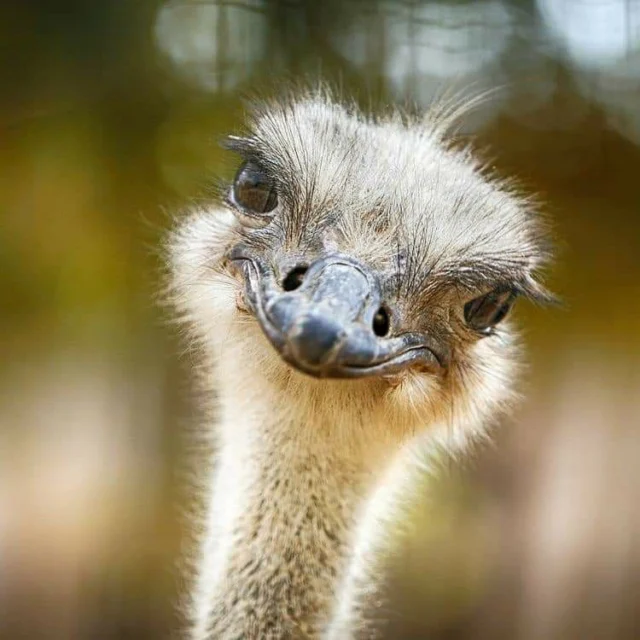 Viernes...
Es viernes y el cuerpo lo sabe...Sigue leyendo y mira el video, ( te hará sonreir ) en mi Blog.
Rovica.