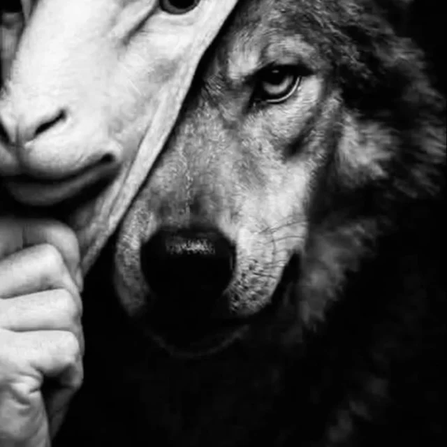 Cuando Todo es Fácil...
El amor no es lo que sientes cuando todo es fácil...Es lo que "haces" cuando nada lo es...Sigue leyendo en mi Blog.
Rovica.