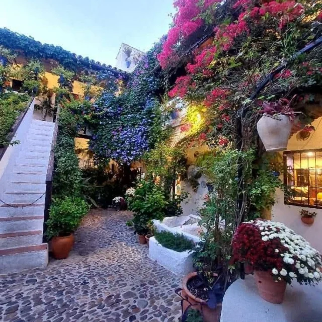 Una Región, Mil Primaveras...
Andalucía es el cuerpo entero latiendo. La primavera aquí no es solo una estación; es el momento en el que la región se quita el abrigo de la discreción y se entrega a un espectáculo de luz, olor a azahar y una energía que parece constante.
En este abril de 2026, con los campos más verdes que nunca gracias a las últimas lluvias, Andalucía está en su punto de máxima ebullición. Andalucía es inmensa y diversa, y la primavera se siente distinto según donde te pille el sol:
Jaen: Es conocida como la "capital del Santo Reino". Una escapada a Jaén es una invitación a bajar el ritmo entre rutas suaves en la sierra y catas de Aceite de Oliva Virgen Extra, calles renacentistas y experiencias gastronómicas con identidad.
Sevilla: Es la dueña de la Feria de Abril. El Real se llena de farolillos, trajes de flamenca y el traqueteo de los coches de caballos. Es el epicentro del color.
Córdoba: Los patios son el jardín del alma de la primavera. Es el momento de la fiesta, el aroma a azahar y flores en sus calles, no es solo una transición meteorológica; es una forma de vida que convierte a la ciudad en el centro del mundo durante un par de meses.
Granada: Ofrece un contraste único. Puedes ver los jardines del Generalife en plena floración mientras contemplas las cumbres de Sierra Nevada todavía con nieve.
Málaga y la Costa del Sol: El mar empieza a estar "apetecible" y los chiringuitos cobran vida con el olor a espetos de sardinas, sin el agobio del calor extremo de agosto.
Cádiz y Huelva: Las playas de dunas y el Coto de Doñana están en su esplendor migratorio. Además, se vive la pasión de las romerías, con la de El Rocío como gran referente.
El Contraste de Paisajes. Si sales de las ciudades, la primavera andaluza te regala postales que parecen pintadas: Tradición y "Duende"
No se puede entender la primavera andaluza sin su misticismo. La Semana Santa (que este año ya, casi, hemos dejado atrás) marca el inicio de todo, pero la espiritualidad sigue con las Cruces de Mayo y las Romerías. Es una época donde el sentimiento está a flor de piel y la gente vive, literalmente, en la calle.
Lo que debes probar (Edición Andalucía):...Sigue en mi Blog.