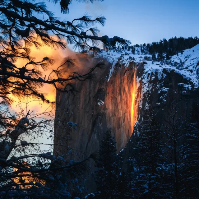 “Cascada de Fuego”...
Durante algunos días de febrero, se produce un fenómeno natural conocido como “cascada de fuego”, el cual es visible en las cataratas Horsetail (ver vídeo, y alucina con este fenomeno de la Naturaleza). Ocurre una sola vez al año y tan solo si se dan las condiciones adecuadas. En esos días, la naturaleza crea una ilusión óptica que produce un efecto extraordinario: desde determinados ángulos, parece que lo que cae desde las alturas es lava. El caudal de la cascada "Horsetail Fall" en Yosemite (California, EE.UU.) se inunda de colores volcánicos y crea una ilusión óptica única.
¿Cómo se produce la cascada de fuego? En primer lugar, debe fluir el agua a la perfección, para ello tiene que haber una capa de nieve suficiente en febrero. De lo contrario, no habrá suficiente nieve derretida para alimentar la cascada que desciende a 480 metros por la cara este.
Por otro lado, las temperaturas deben ser lo suficientemente cálidas durante el día para derretir la capa de nieve. Si las temperaturas son demasiado frías, la nieve permanecerá congelada y la caída tampoco fluirá.
Pero si hay algo importante para que se produzca este fenómeno es que el cielo occidental debe estar completamente despejado al atardecer. ¿Por qué? Porque es precisamente los rayos del sol los que hacen que la cascada Horsetail se ilumine.
Si se cumplen todas estas condiciones, y si tienes la suerte de ser uno de los presentes podrás deleitarte con el "encendido" de la cascada Yosemite Fall durante unos 10 minutos. Es poco tiempo, pero todos aquellos que lo han presenciado en persona hablan de que es “una experiencia sobrenatural”.
¿Cuándo se descubrió este fenómeno? El valle de Yosemite, según diversas informaciones, fue visto por primera vez por un grupo de exploradores en 1851. Eso si, aunque las maravillas naturales del parque fueron fuertemente promocionadas en las décadas siguientes, jamás se mencionó este raro fenómeno de la cascada.
Realmente, cuando la cascada de fuego empezó a tener relevancia fue en 1973, cuando el fotógrafo Galen Rowell tomó la...Sigue leyendo y no dejes de ver el vídeo, alucinarás con este fenómeno de la Naturaleza, en mi Blog.
De la Web.
Rovica.