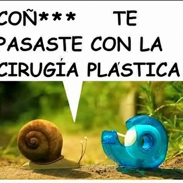 Un Reencuentro Con Sorpresa…(Cuento De Humor)
Carmelo y Serafina eran caracoles de toda la vida, amigos desde que compartían babas en la misma hoja de lechuga. Un día, Serafina desapareció. Carmelo la buscó por todo el jardín, pero no había rastro de ella.
Un mes después, Carmelo se encontró a Serafina en la fuente del parque. Pero algo había cambiado. Serafina estaba diferente, su caparazón había cambiado.
-¡Serafina! ¡Cuánto tiempo!. Exclamó, acercándose a su amiga.
Carmelo se llevó una gran sorpresa, quedó paralizado. Parecía una "caracola" diferente. No era solo su caparazón, ¡era toda Serafina!.
-¿Serafina?, ¿Eres tú?. Preguntó incrédulo.
Carmelo la miró de arriba abajo.
-No te reconozco, ¿Qué te has hecho?, ¿Un lifting, una rinoplastia, un aumento de pómulos, botox en los labios…?.
-Estás…estás muy diferente Serafina, -dijo perplejo, tratando de encontrar las palabras adecuadas…
Hasta que exclamó:
-¡Coñ* Serafina, te pasaste con la cirugía!. Ejem… por lo que veo, la belleza no tiene límites, dijo por lo bajini y, suspiró.
Carmelo frunció el ceño… ¿Que necesidad…Serafina?
-¿No crees que te has pasado un poco?, -preguntó Carmelo, señalando su caparazón.
Carmelo suspiró. Sabía que no iba a convencer a Serafina de nada. Su amiga parecía feliz con su nueva imagen, y eso era lo que importaba.
Y comento encogiéndose de hombros:
-Bueno, mientras tú estés contenta… -dijo Carmelo.
-Y ahora Serafina, tengo que irme, tengo una cita con mi nueva pretendienta.
Y se fue, con la boca abierta (o lo que sea que tengan los caracoles).
Carmelo se quedó pensando en su amiga, Serafina siempre había sido una "caracola" sencilla.
-No sé si alegrarme por ella o rezar para que no se le caiga el caparazón a pedazos…pero, ¡que necesidad!
Y seguidamente restándole importancia se dijo:
-Con la estética, la belleza no tiene límites, o sí...Sigue en mi Blog.
Rovica.