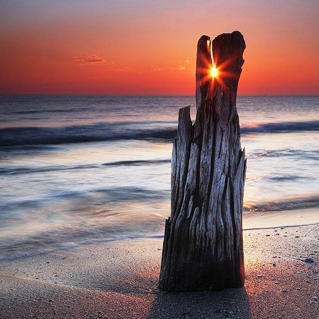 Lee más sobre el artículo Nada Te Da Más Libertad…