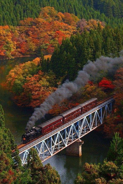 tren 2